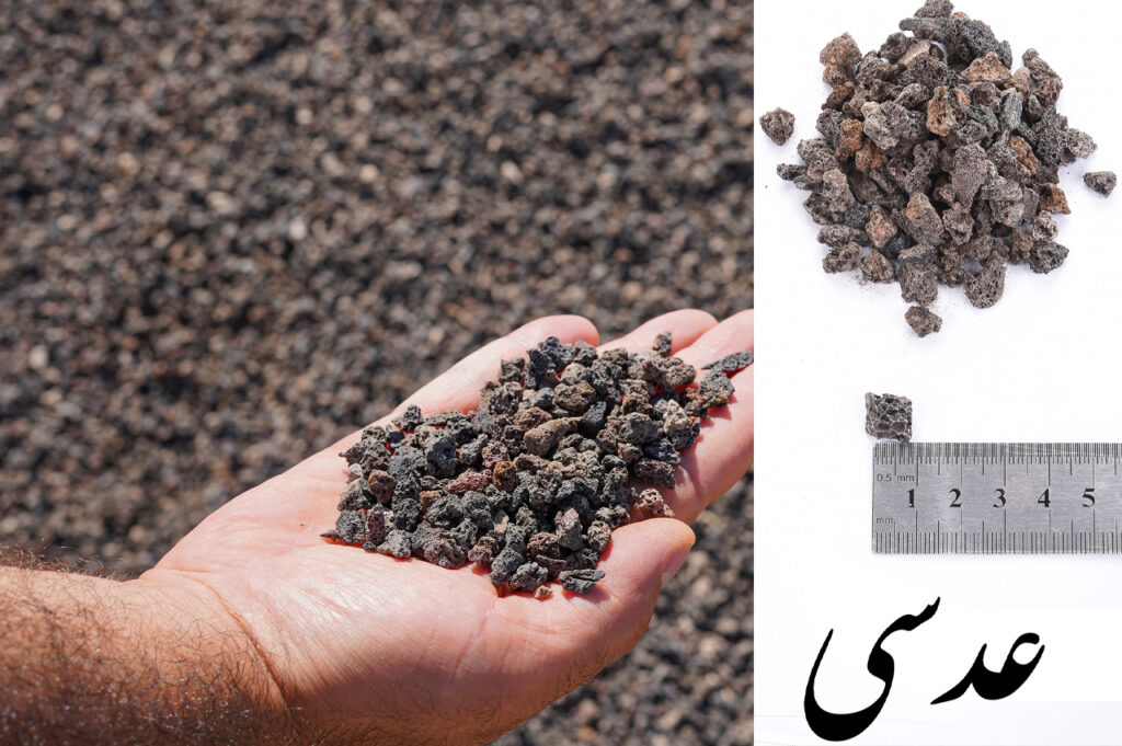 پوکه عدسی پوکه عدسی