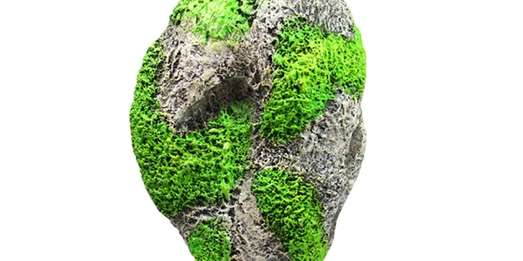 پوکه معدنی برای آکواریوم پوکه معدنی برای آکواریوم